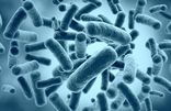 Chlamydia & Gonorrhoea Home Test Kit UK Chlamydia & Gonorrhoea Home Test Kit UK
